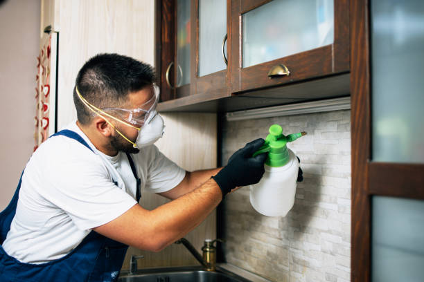 Best Affordable Pest Control Services  in Montclair State University, NJ