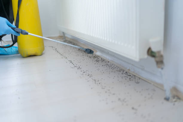 Reliable Montclair State University, NJ Pest Control Solutions